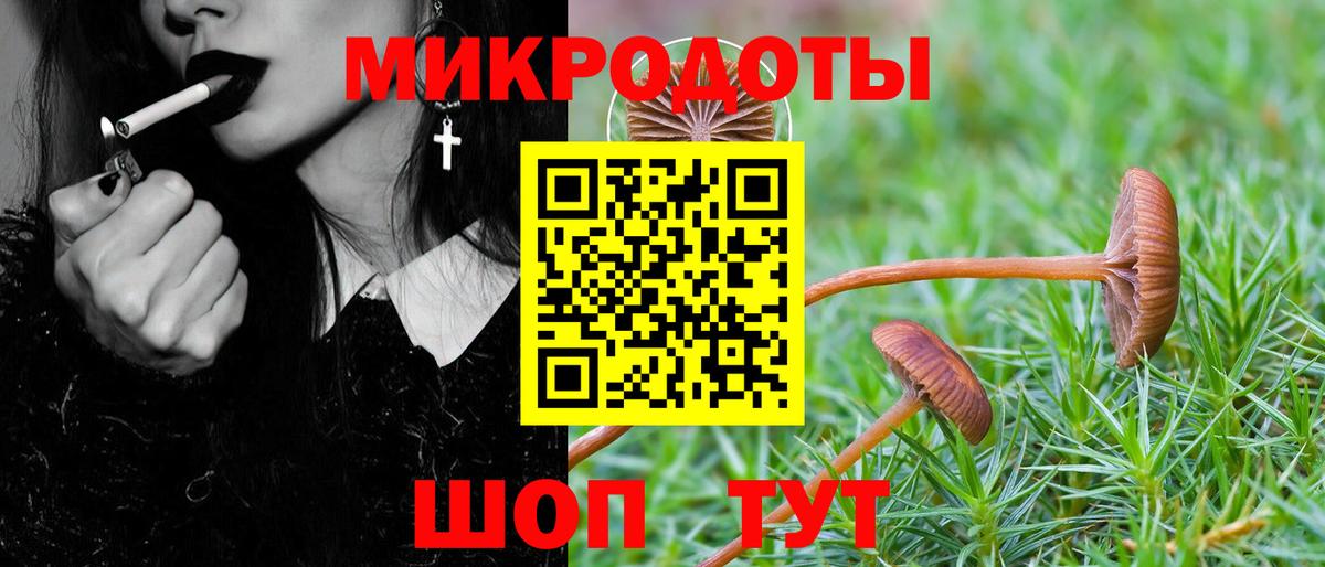 Галлюциногенные грибы прущие грибы Новоалтайск